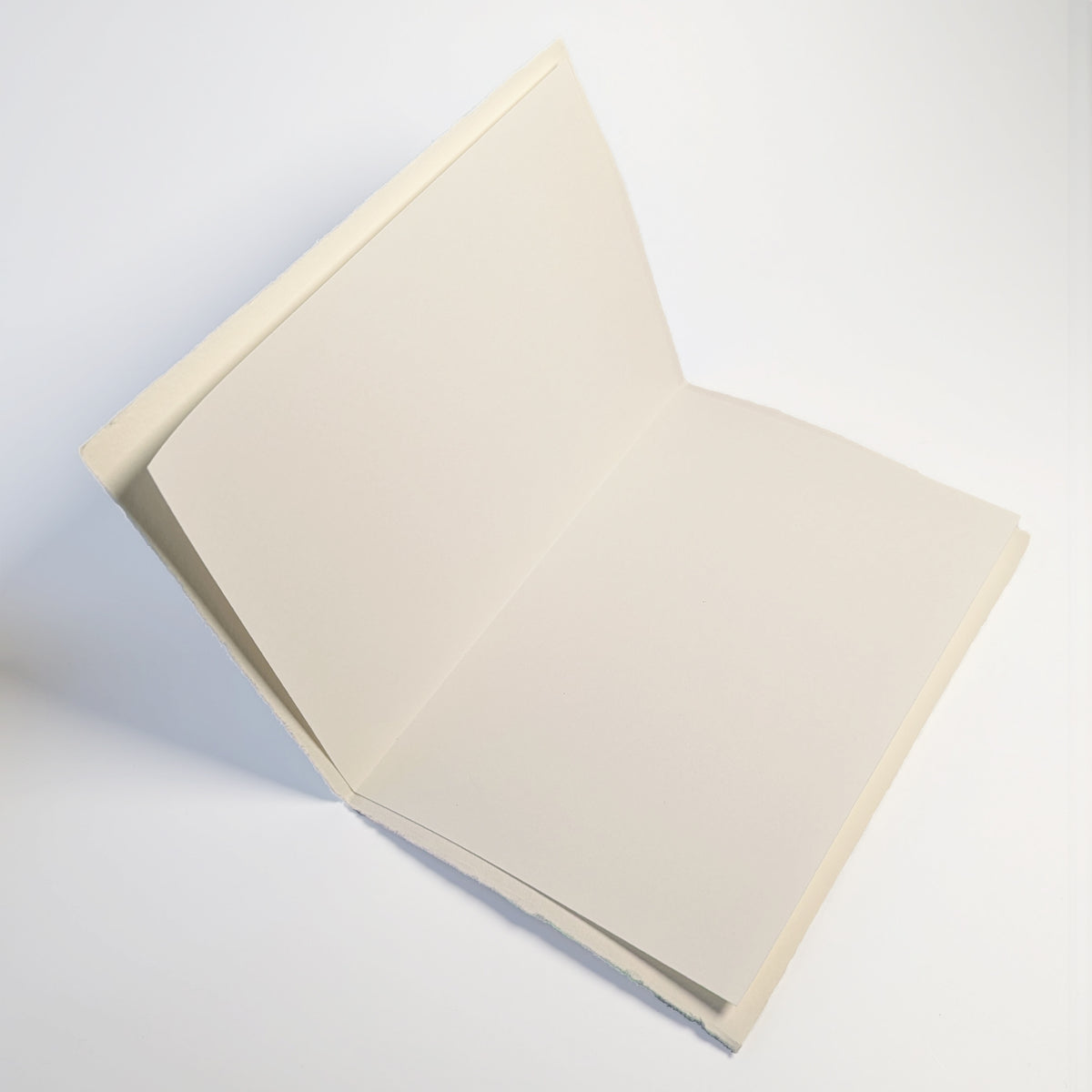 Natural blank liner insert