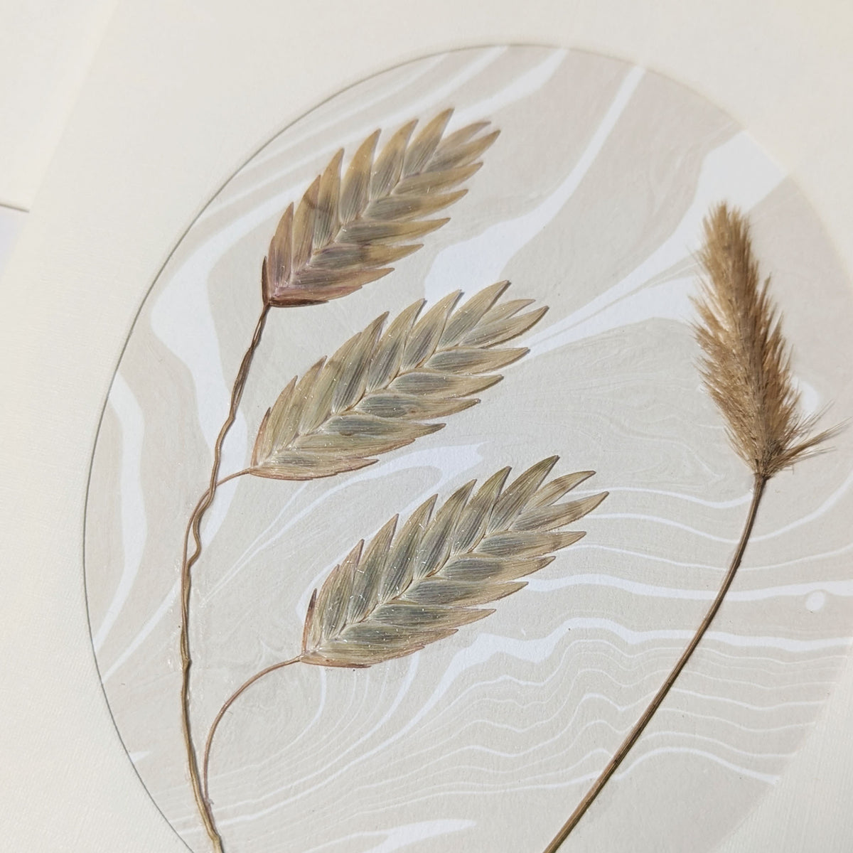 Close-up of Walking Dunes Oat Grass pressed flora notecard showing three oat-like seed heads and a feathery grass plume over hand-marbled Suminagashi paper.