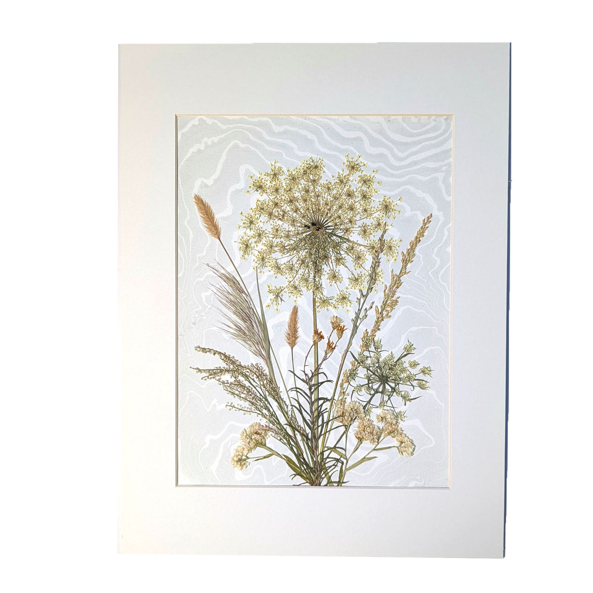 Field Reverie original pressed botanical artwork with delicate ivory wildflowers and grasses over pale hand-marbled Suminagashi, presented in a white 12 x 16 inch mat.