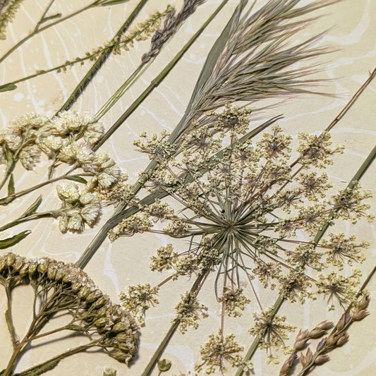Close-up of Late Meadow showing hand-pressed grasses, delicate flower heads and field botanicals over warm neutral hand-marbled Suminagashi.