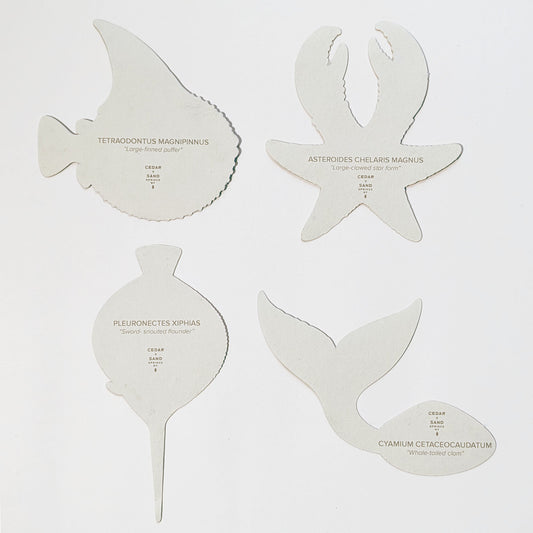 Specimens of Unlikely Waters Bookmarks | Set of Four