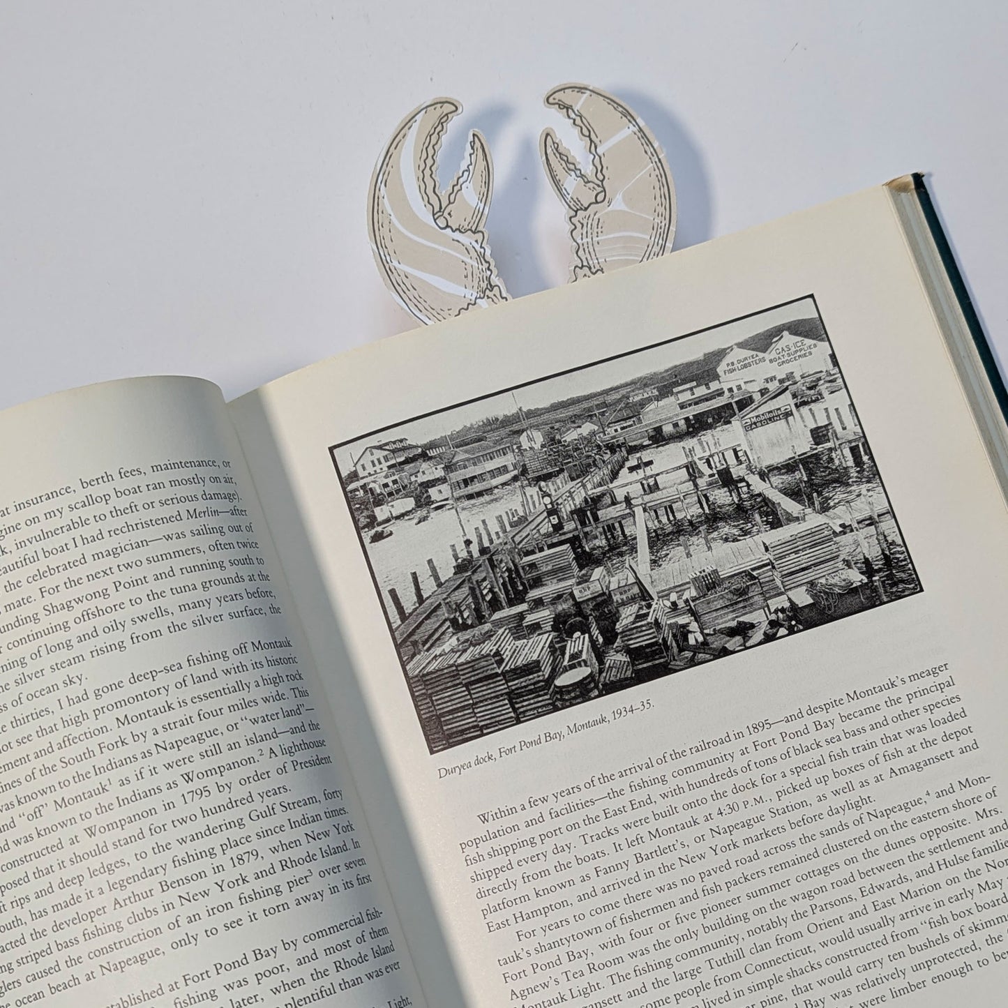 Specimens of Unlikely Waters Bookmarks | Set of Four