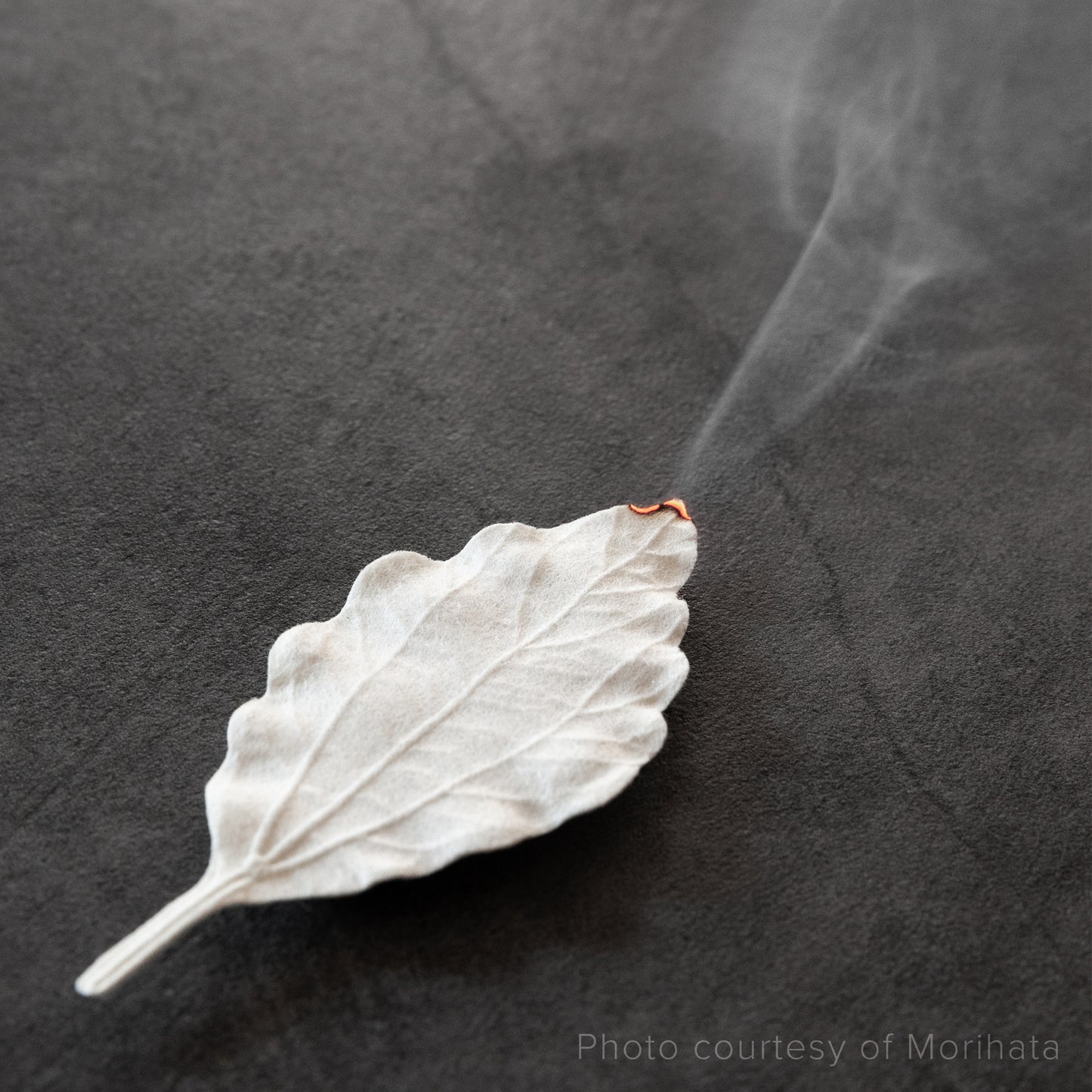 HA KO Spicy Jasmine paper leaf incense burning on gray stone surface, Japanese incense ritual by Kunjudo