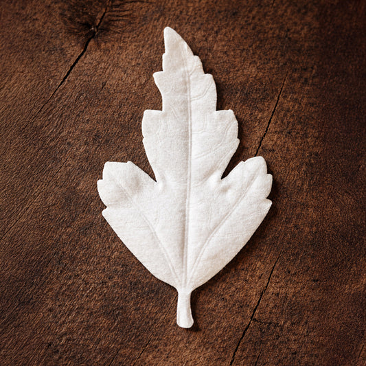 HA KO Agarwood washi paper leaf incense displayed on rustic wood surface, minimalist Japanese home fragrance decor