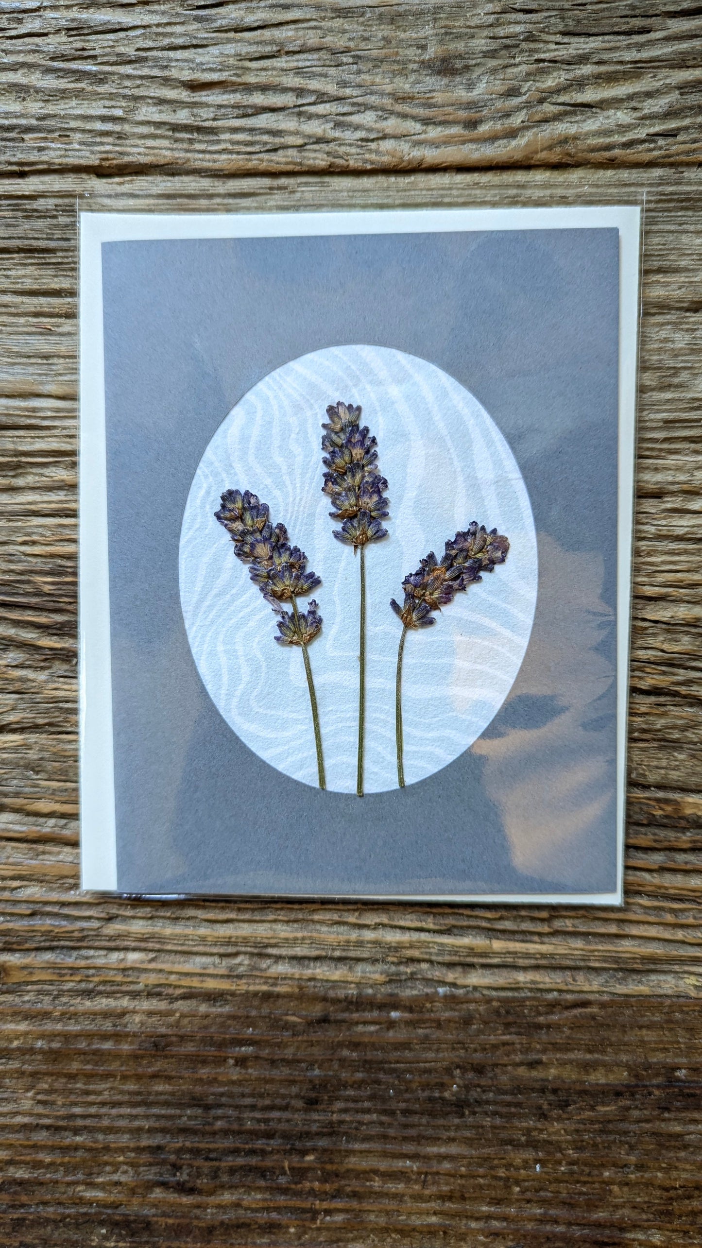 Suminagashi Pressed Flora Notecard: Slate Bloom NEW