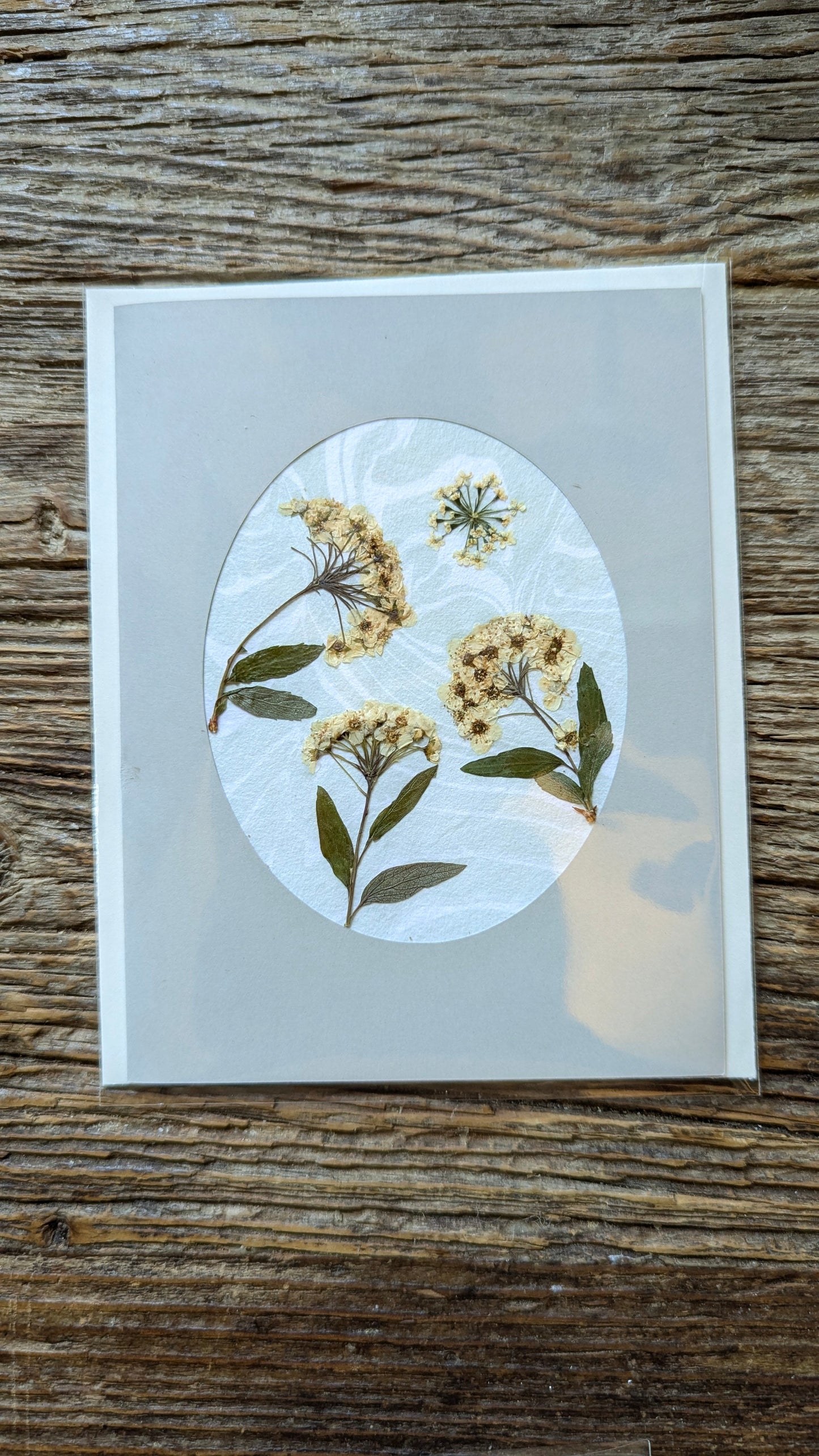 Suminagashi Pressed Flora Notecard: Meadow NEW