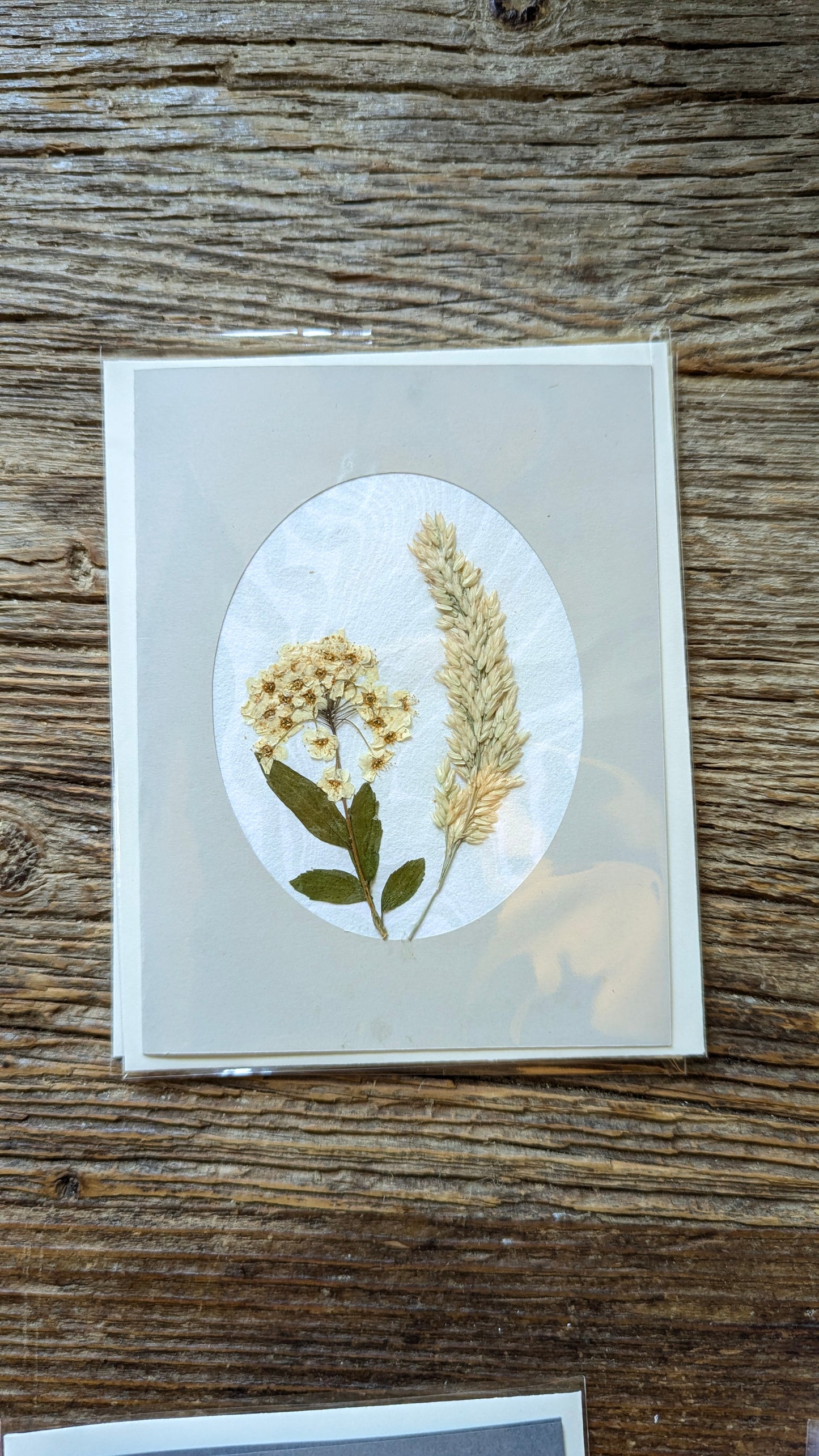 Suminagashi Pressed Flora Notecard: Meadow NEW