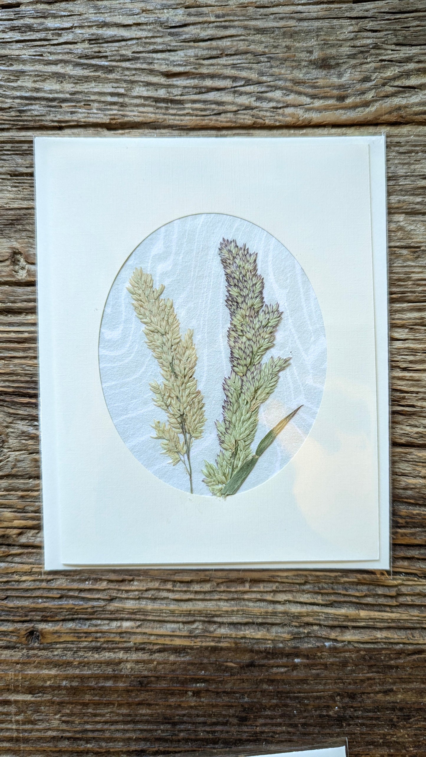 Suminagashi Pressed Flora Notecard: Walking Dunes NEW