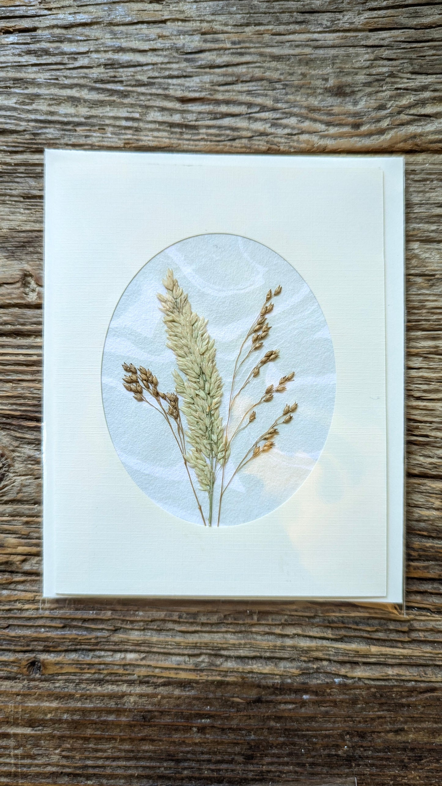 Suminagashi Pressed Flora Notecard: Walking Dunes NEW