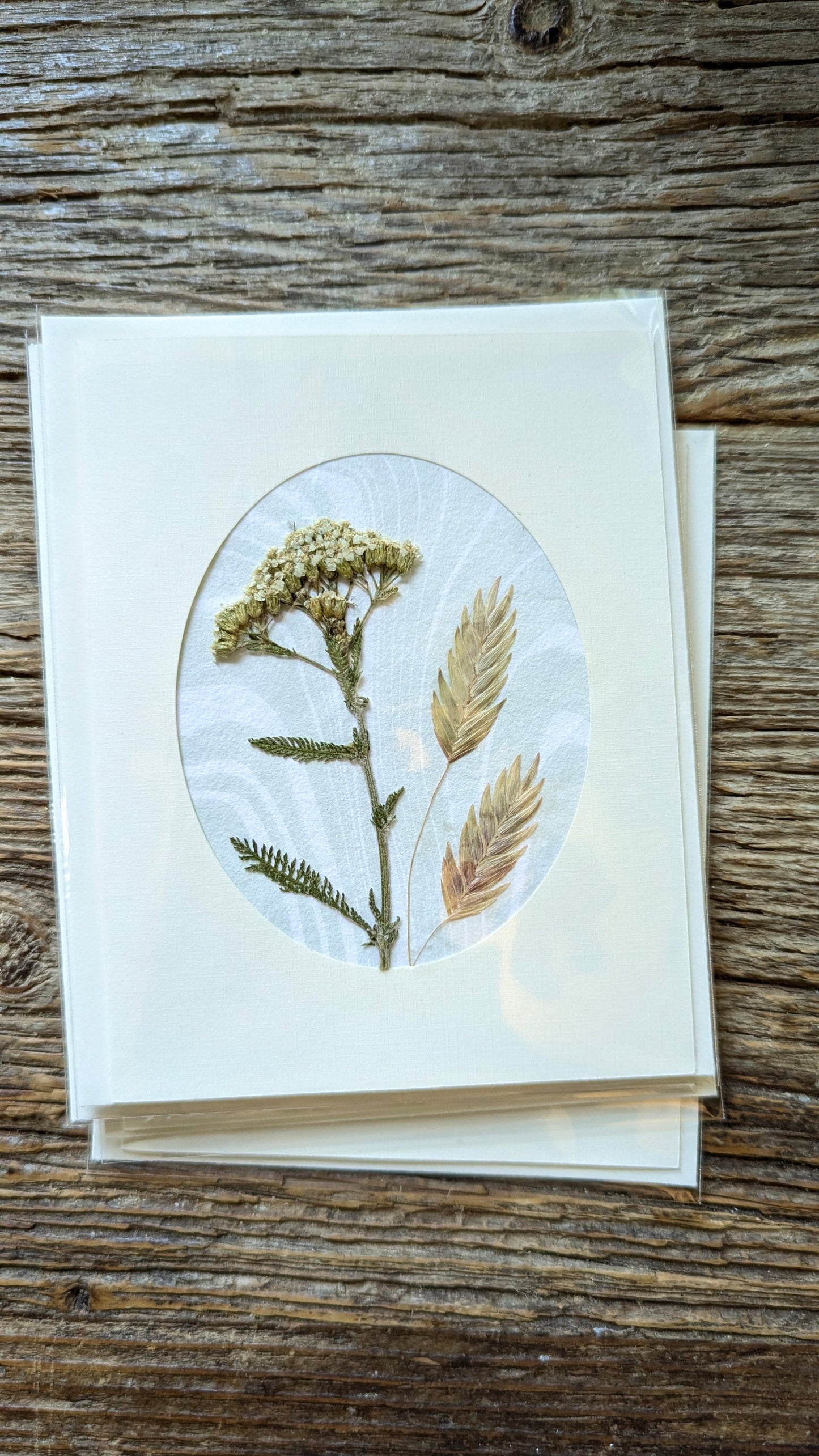 Suminagashi Pressed Flora Notecard: Walking Dunes NEW