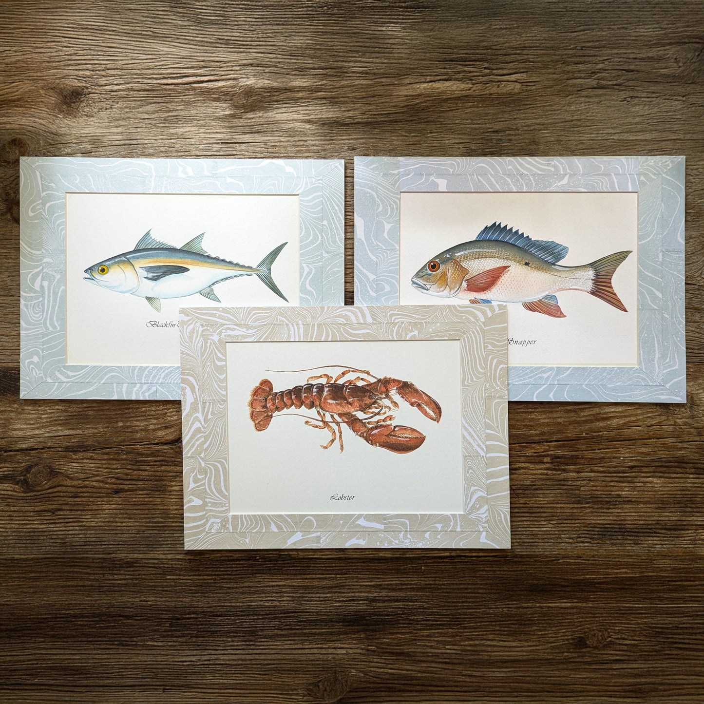Trio of framed marine portraits—Blackfin Tuna, Mutton Snapper, and Lobster—on rustic wood background.