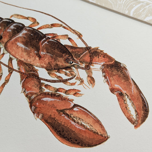 Detail of Cooked Lobstah watercolor showing claw, shell texture, and fine brushwork.