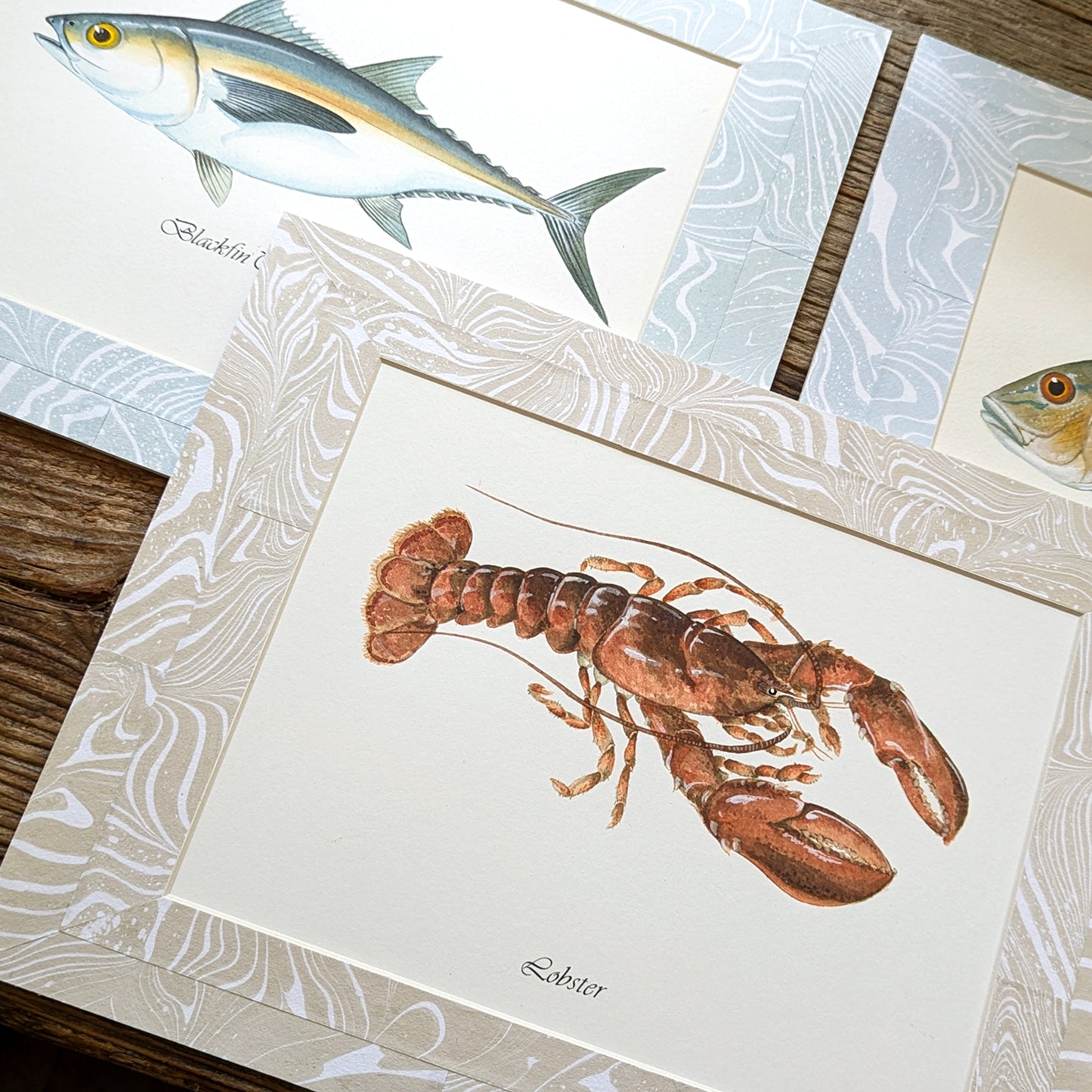 Set of marine portraits including Cooked Lobstah, Blackfin Tuna, and Mutton Snapper displayed together on rustic wood surface.