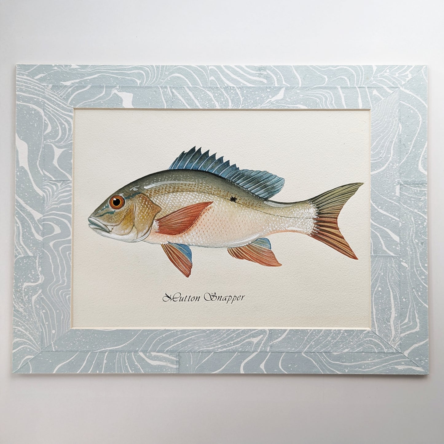 Framed Mutton Snapper gouache watercolor painting mounted in a light blue and white suminagashi marbled mat.