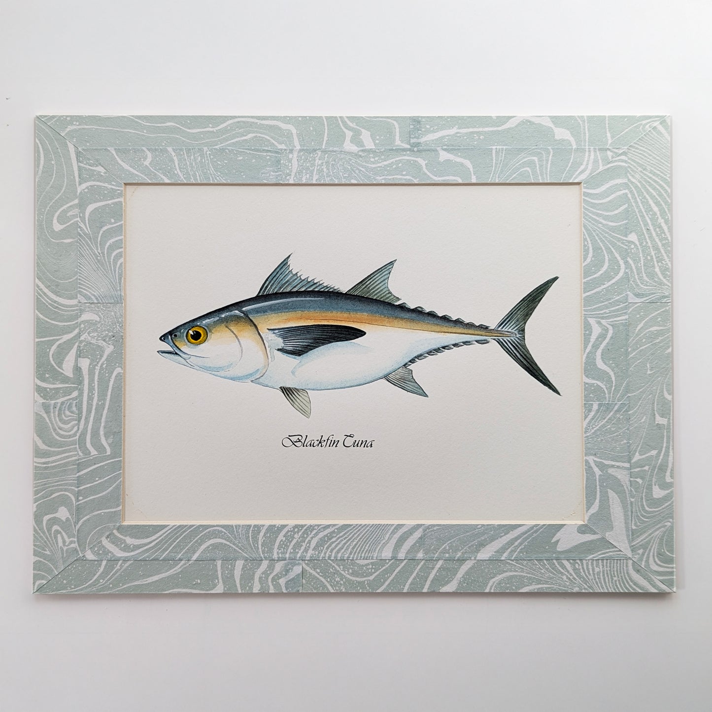 Blackfin Tuna gouache watercolor painting mounted in a blue-white suminagashi collage marbled mat.