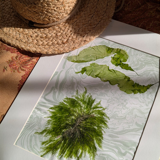 Sunlight streaming over coastal art with palm-like seaweed and cloud like fronds, styled with straw hat and warm textures.