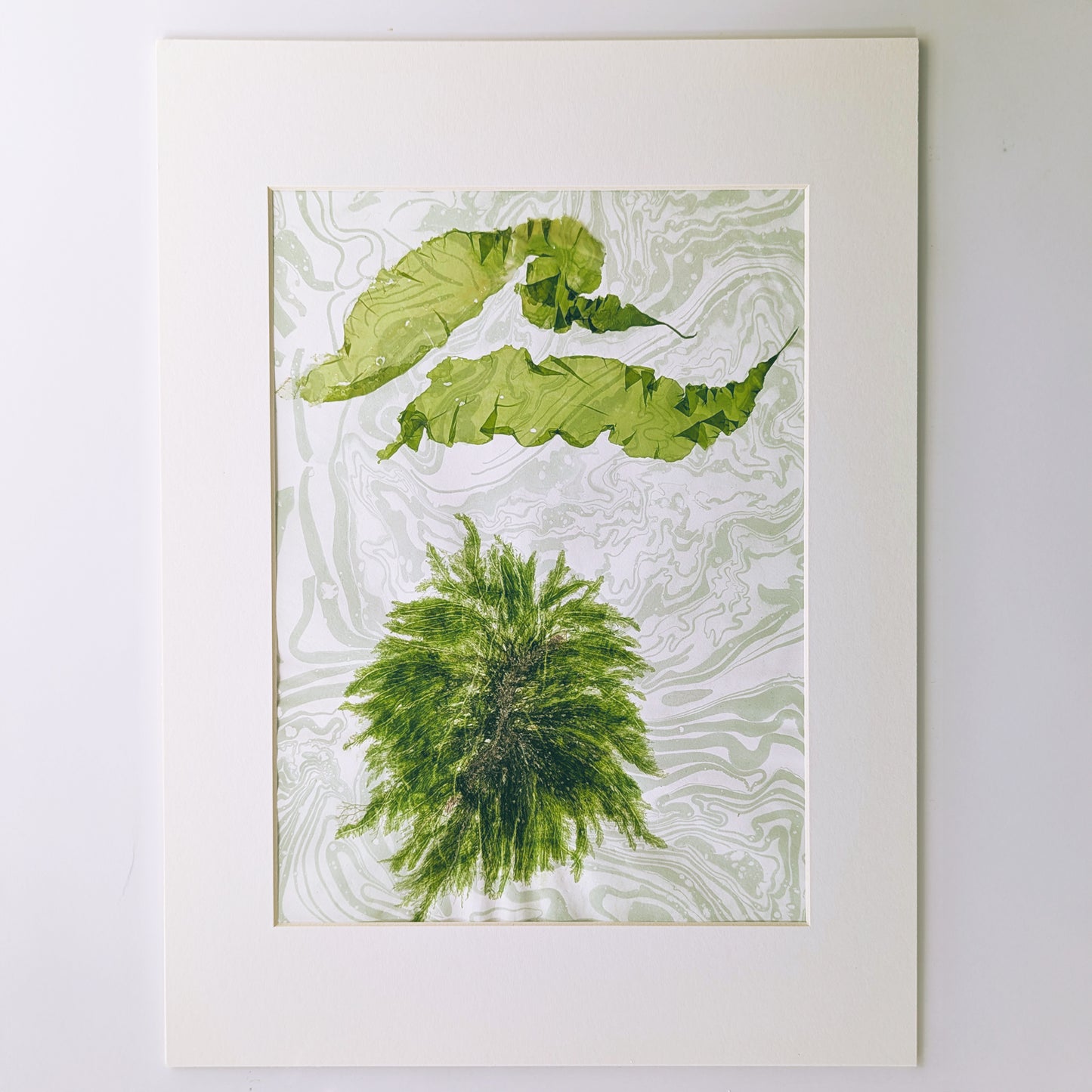matted pressed seaweed art featuring green palm-like seaweed below two curling ocean-cloud seaweed forms on soft celadon marbled paper.
