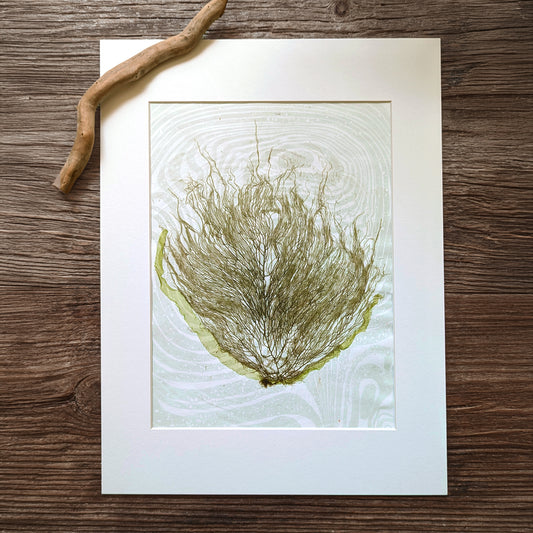 Detailed view of branching seaweed structure and fluid ink marbling, showing the soft textures of sea flora over dusty mint marbled paper.