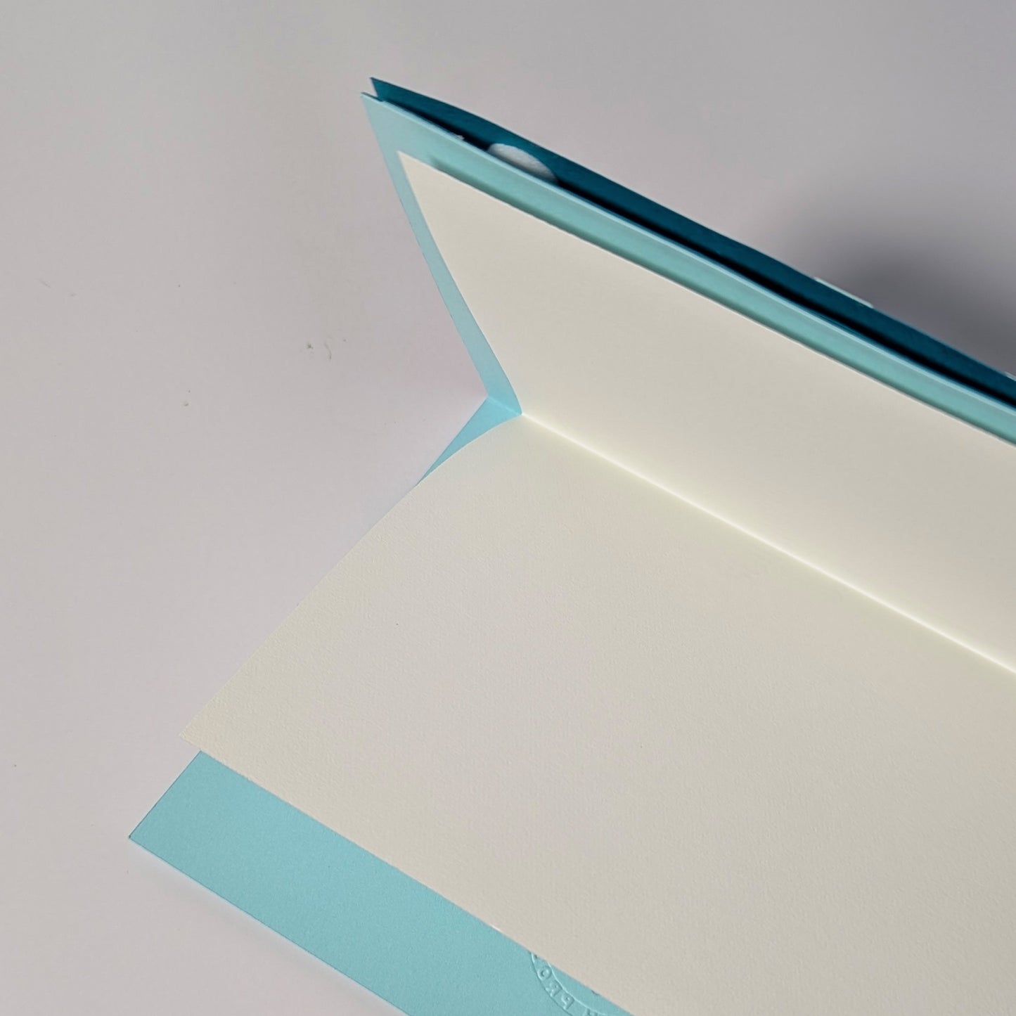 Interior of Surfin’ Flipper notecard with blank liner insert for writing.