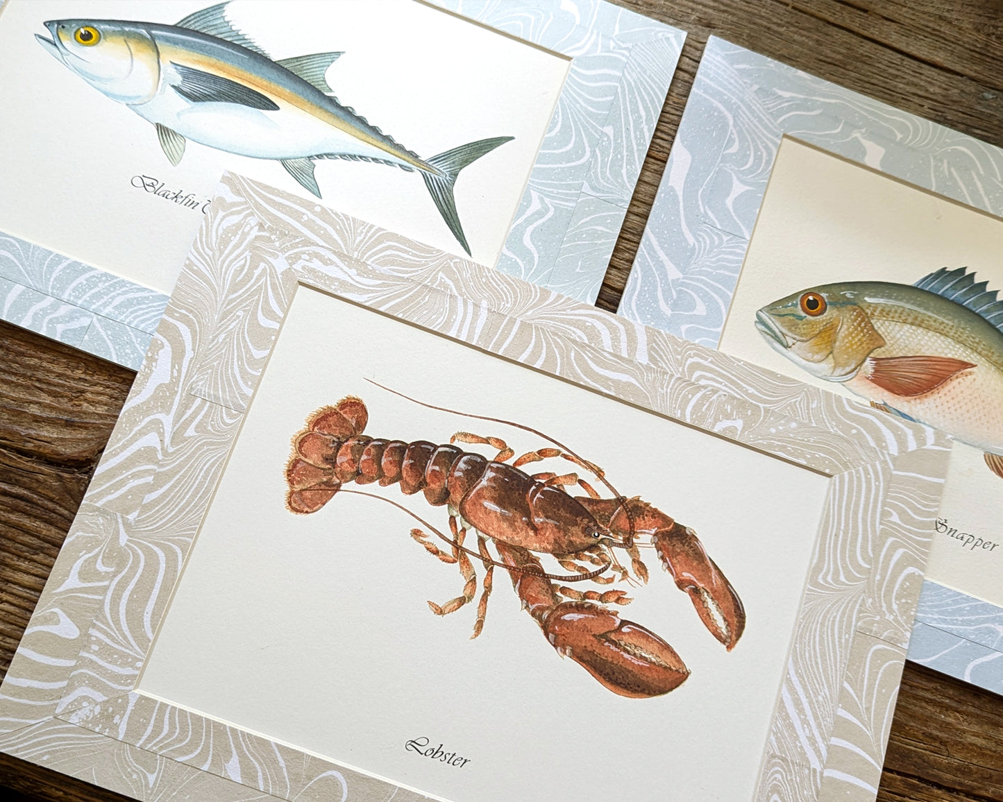 Trio of framed marine portraits—Blackfin Tuna, Mutton Snapper, and Lobster—on rustic wood background.