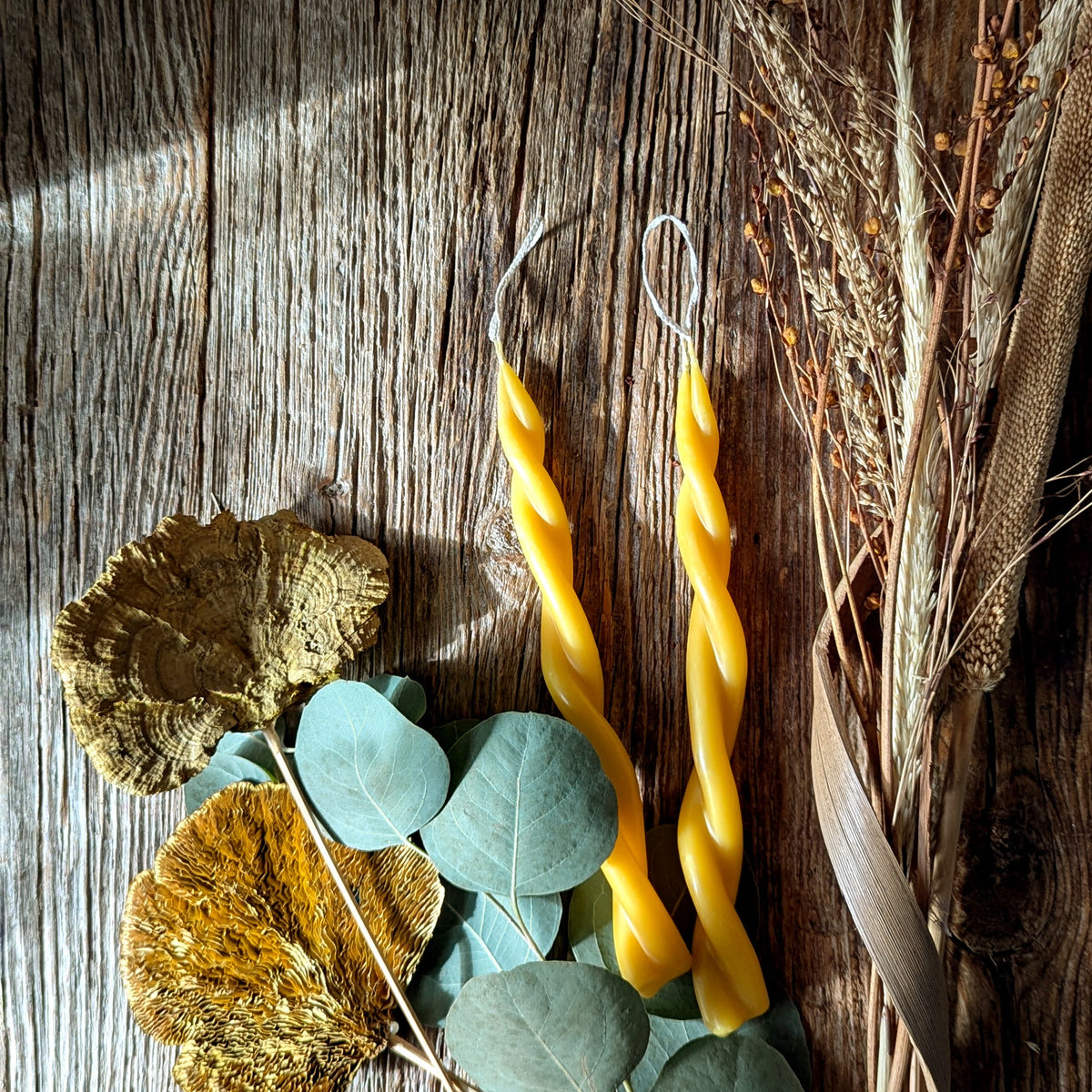 Twin Flame beeswax candles styled on a rustic wooden surface with dried botanicals and eucalyptus, glowing with natural warmth and organic charm.