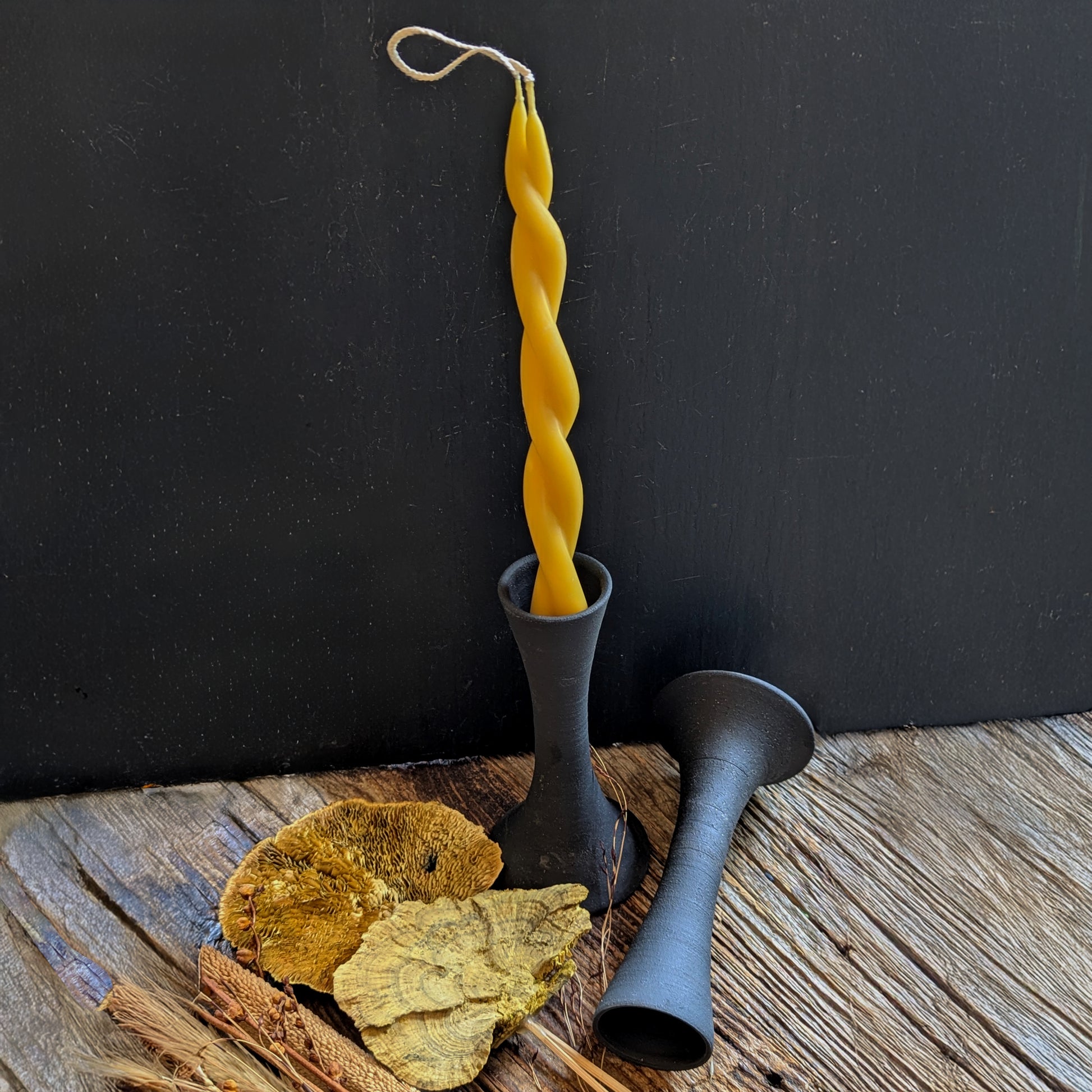 A single Twin Flame beeswax candle displayed in a black ceramic taper holder, surrounded by dried florals, showcasing contrast between matte clay and golden wax.