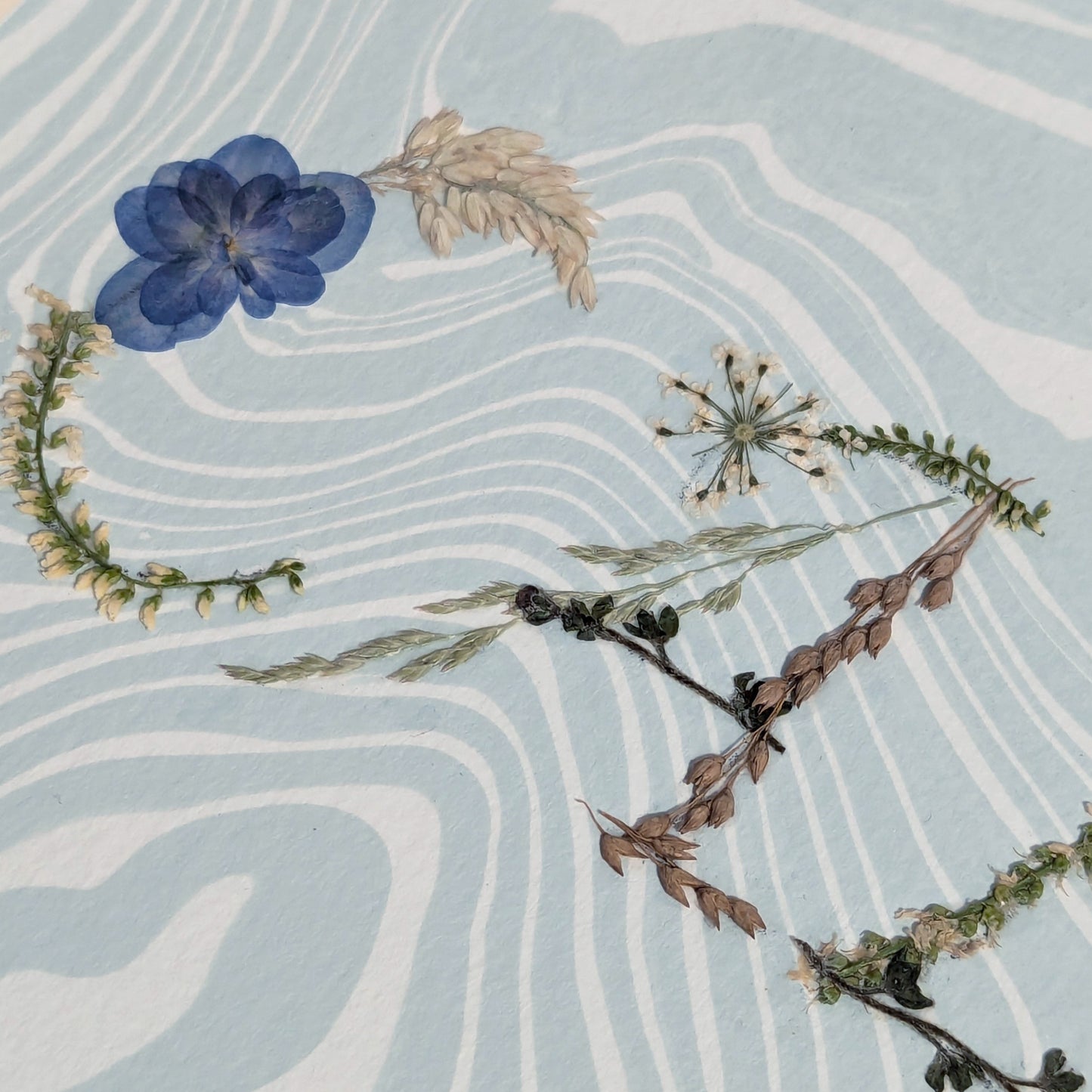 Detailed view of pressed floral word “CALM” highlighting blue botanicals on marbled Suminagashi paper