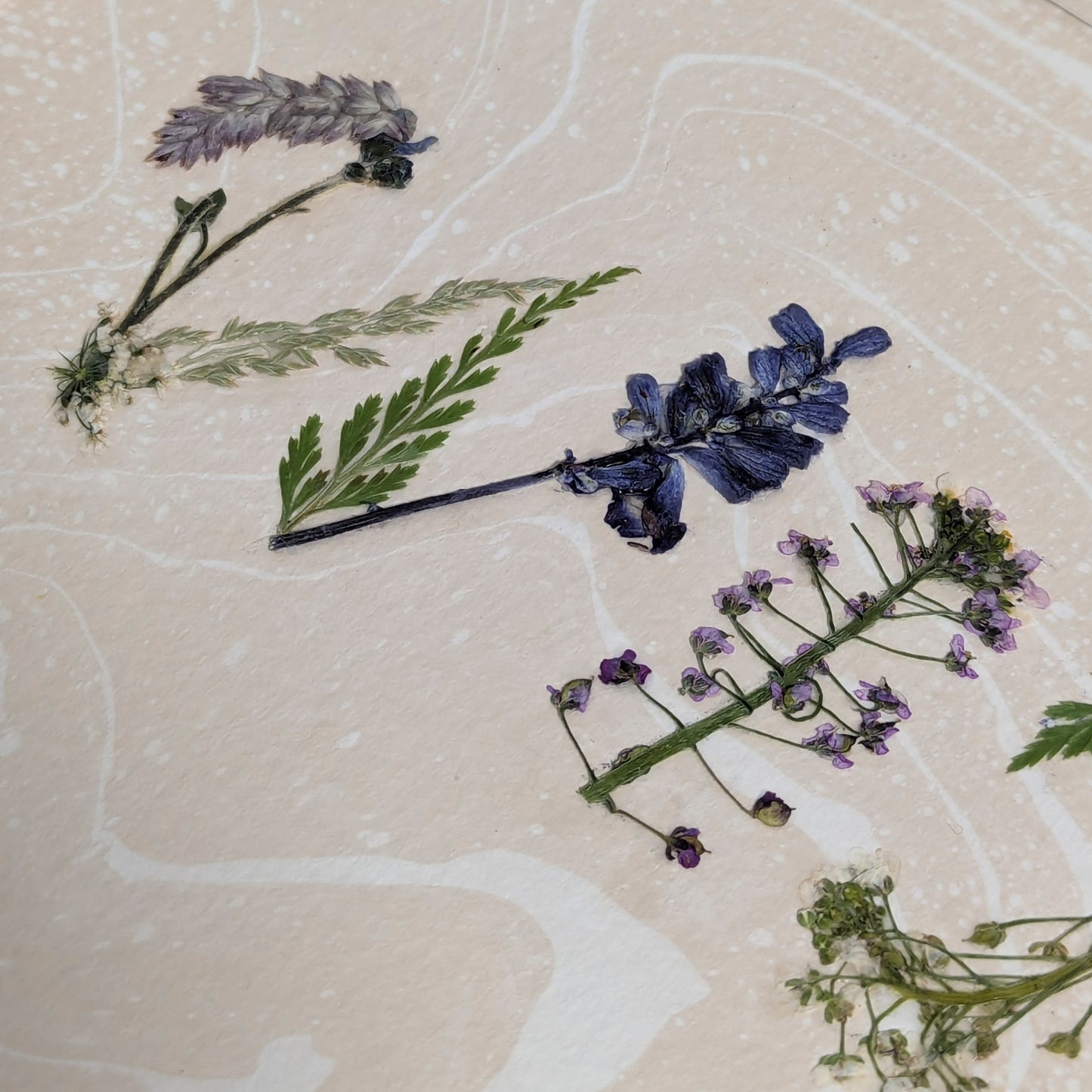 Detail of pressed floral word “WINE” showing pink and yellow botanicals on hand-marbled Suminagashi paper