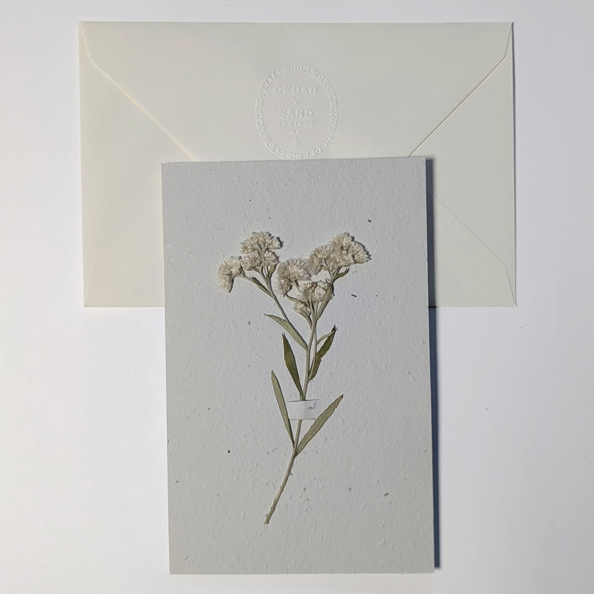 Sea Myrtle plantable botanical notecard with a pressed white flowering stem, paired with an embossed ivory Fabriano Medioevalis envelope.