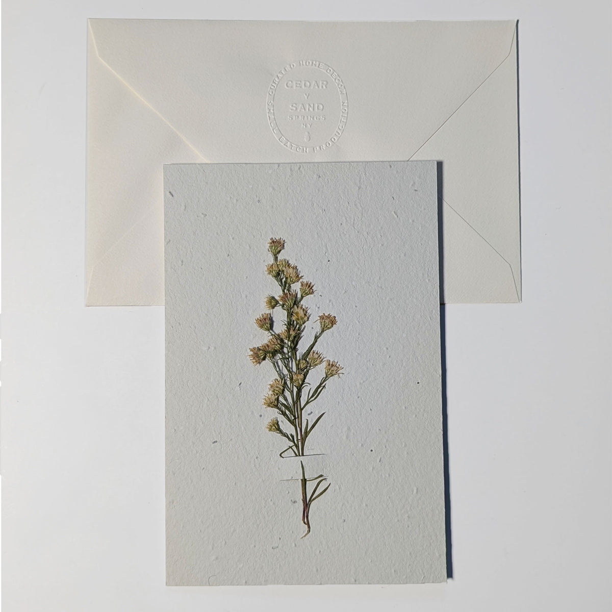 Poetry in Bloom plantable seed paper notecard with a delicate pressed golden flowering sprig, displayed with an ivory CEDAR Y SAND embossed envelope.