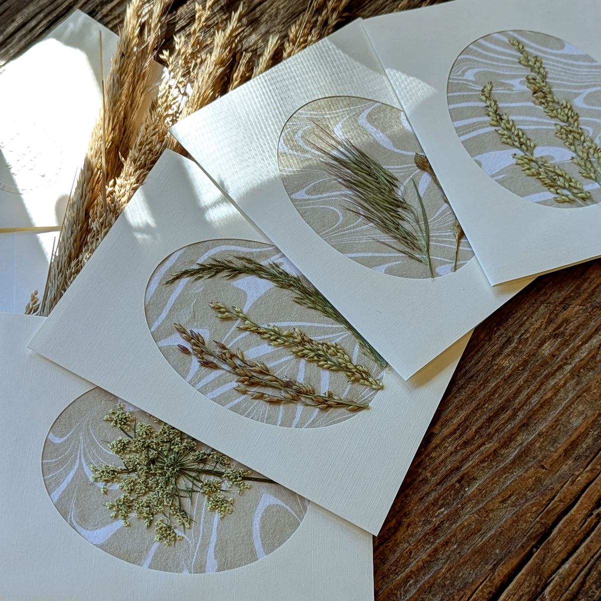 CEDAR Y SAND Walking Dunes Suminagashi pressed flora notecards featuring hand-pressed dune grasses in a warm neutral coastal palette.