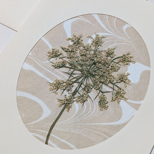 Walking Dunes Lace pressed flora notecard with delicate lace-like botanical layered over neutral hand-marbled Suminagashi paper.