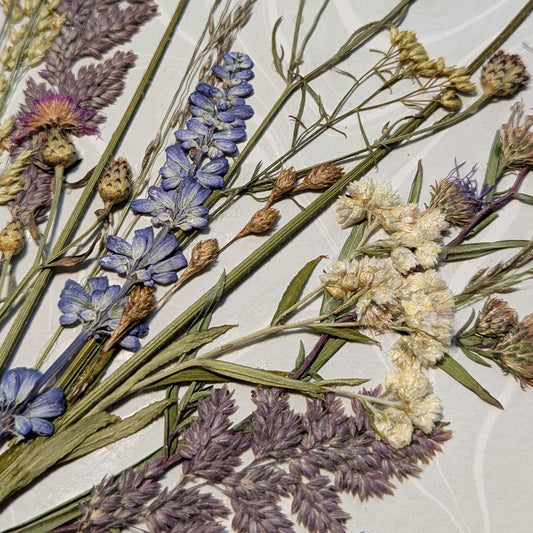 Close-up of Dune Bouquet showing pressed blue, lavender, cream and green botanicals layered over hand-marbled Suminagashi paper.