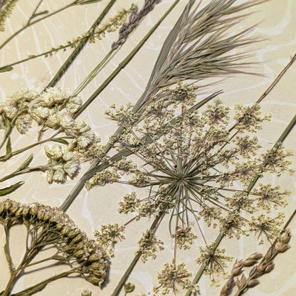 Close-up of Late Meadow showing hand-pressed grasses, delicate flower heads and field botanicals over warm neutral hand-marbled Suminagashi.