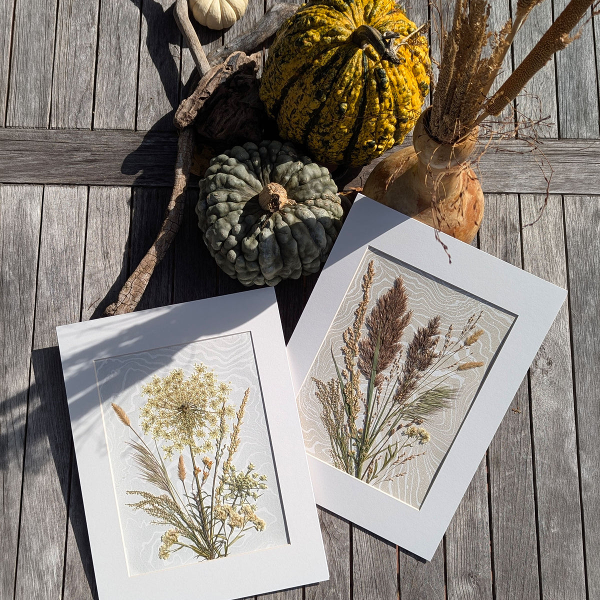 Field Reverie and Windward pressed botanical artworks displayed on weathered wood beside autumn gourds, featuring East Hampton grasses and hand-marbled Suminagashi.
 Copy