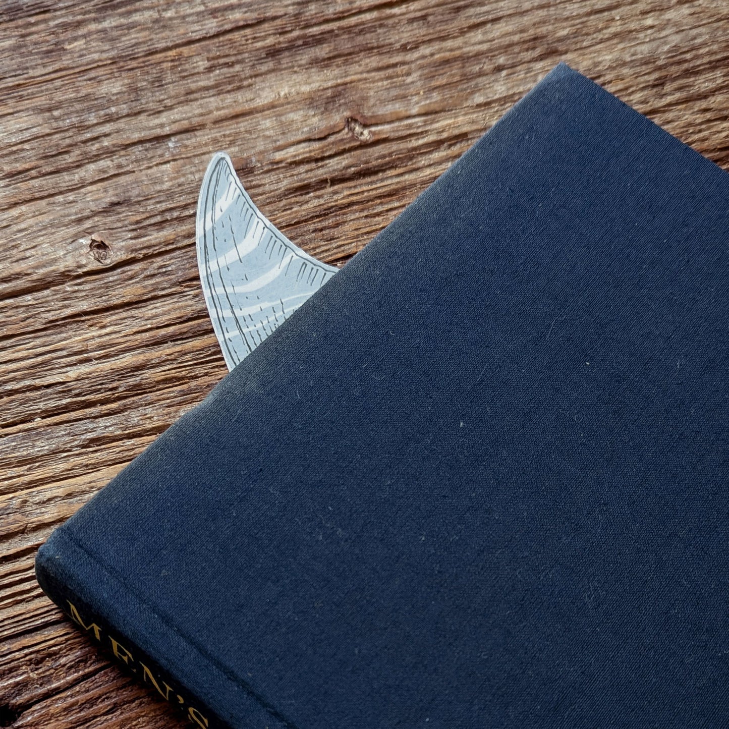 Specimens of Unlikely Waters Bookmarks | Set of Four