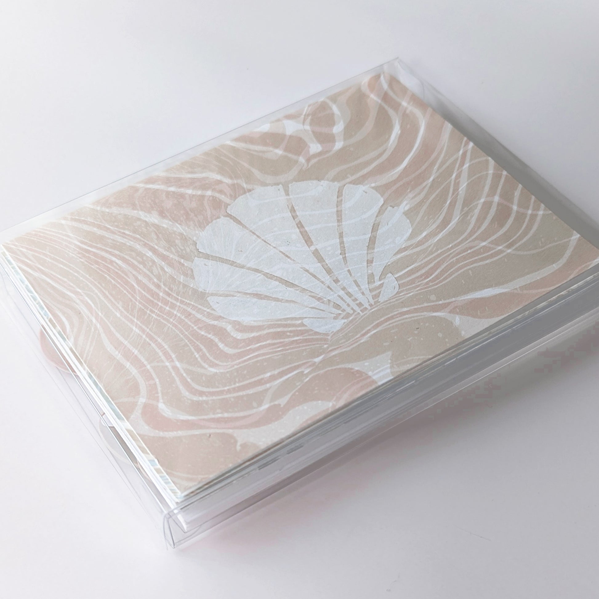 Marine Fauna Sea Life notecard set of four packaged in a clear plastic box featuring scallop cover design.