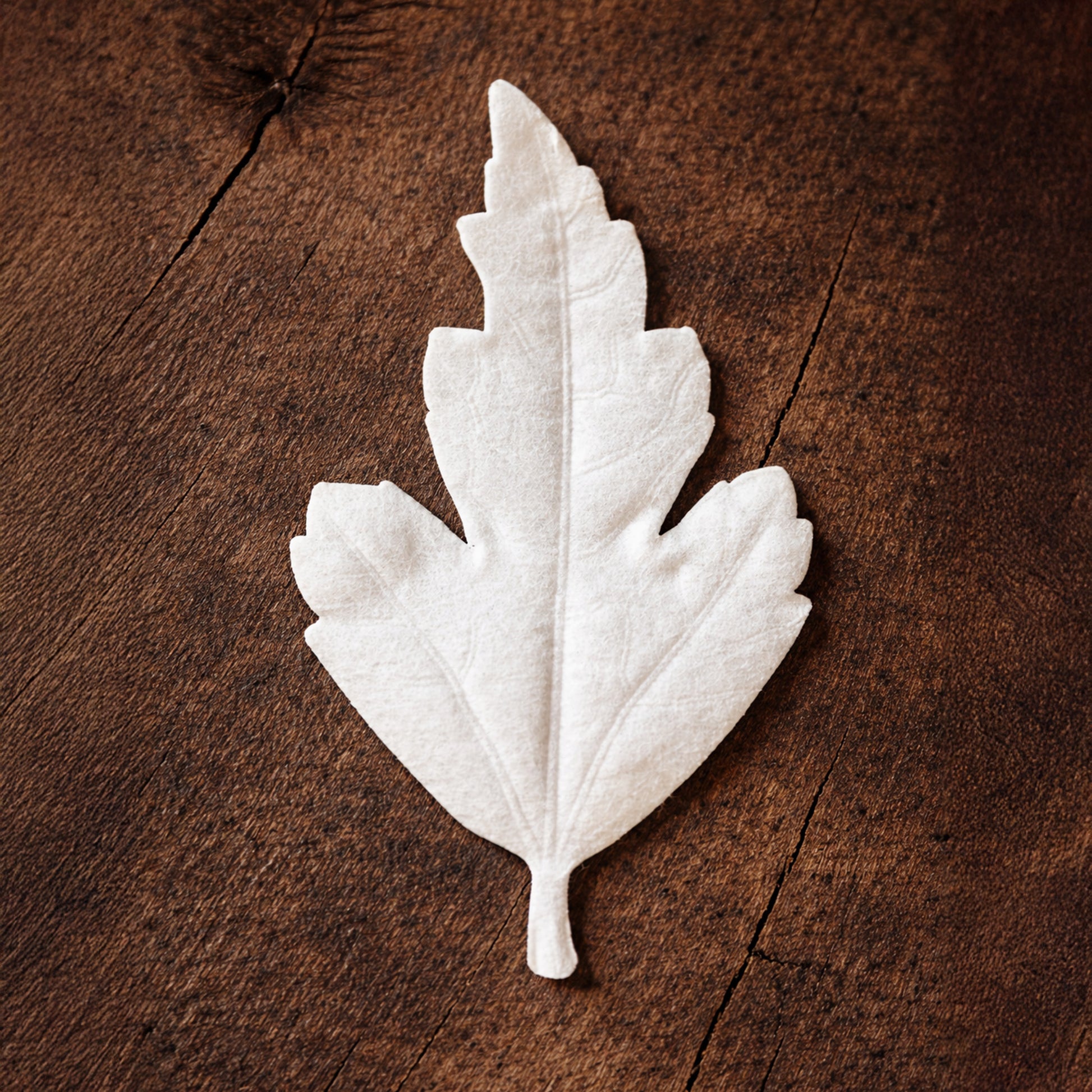 HA KO Agarwood washi paper leaf incense displayed on rustic wood surface, minimalist Japanese home fragrance decor