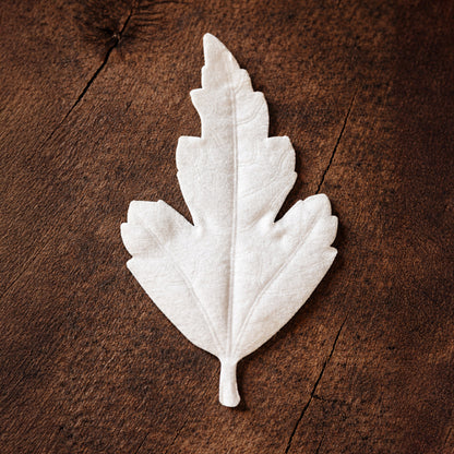 HA KO Agarwood washi paper leaf incense displayed on rustic wood surface, minimalist Japanese home fragrance decor