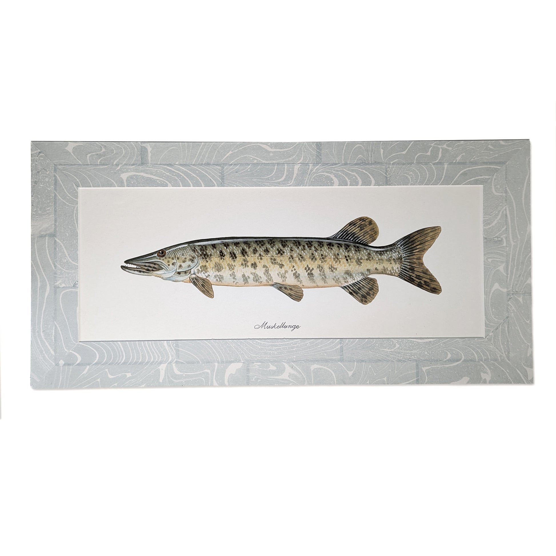 Muskellunge fish watercolor painting with hand-marbled blue suminagashi mat, horizontal original artwork by Cedar y Sand