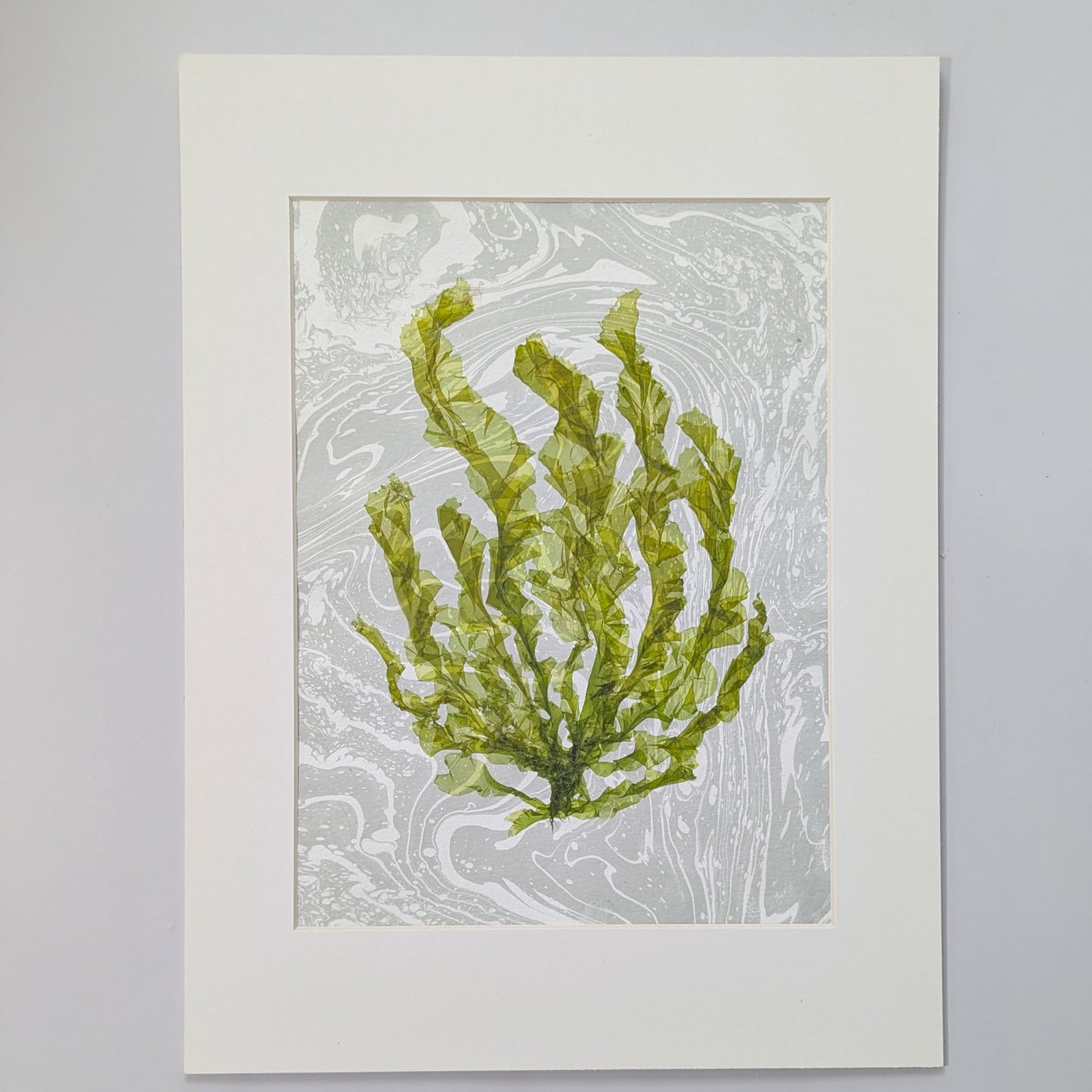 Green Current pressed sea lettuce artwork mounted on pale blue-gray suminagashi marbled paper and professionally matted to 12 x 16 inches.