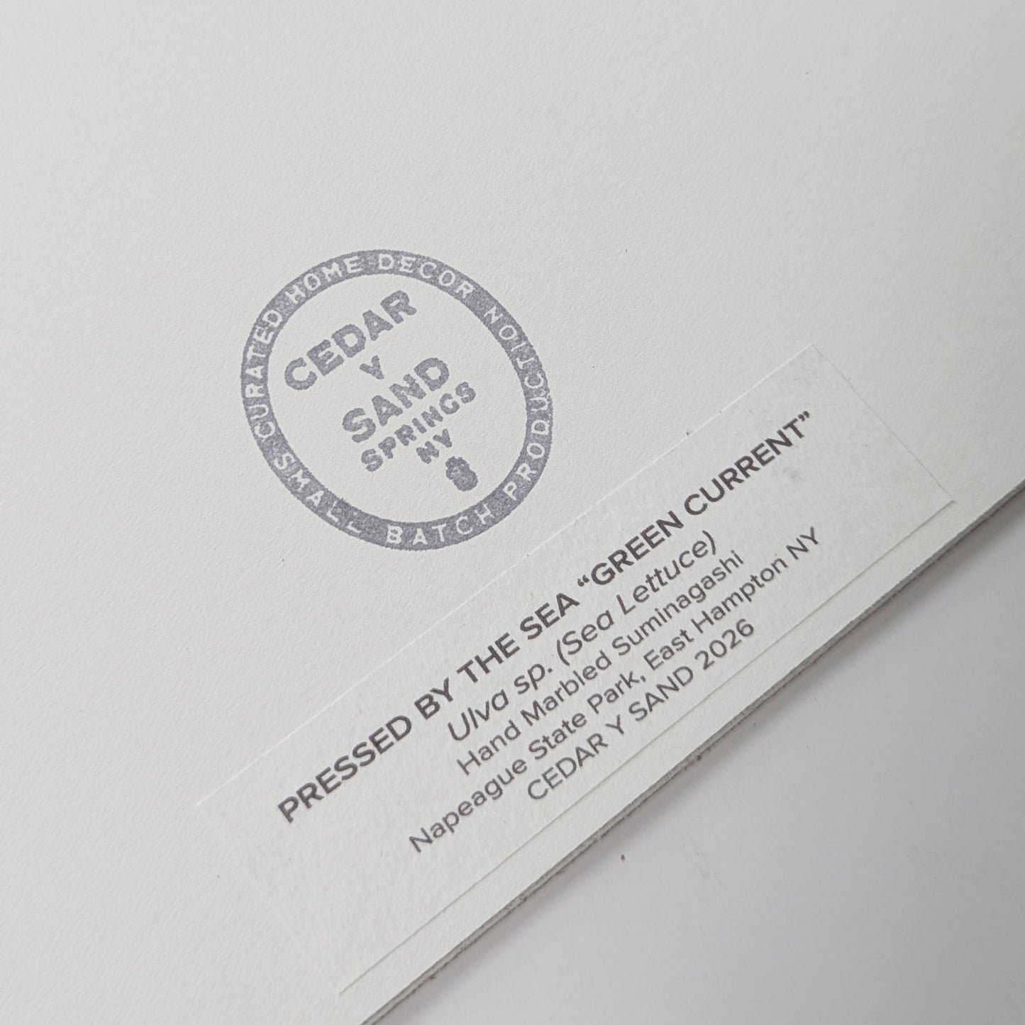Reverse label identifying Green Current, a Pressed by the Sea artwork featuring Ulva sea lettuce collected at Napeague State Park in East Hampton, NY.
