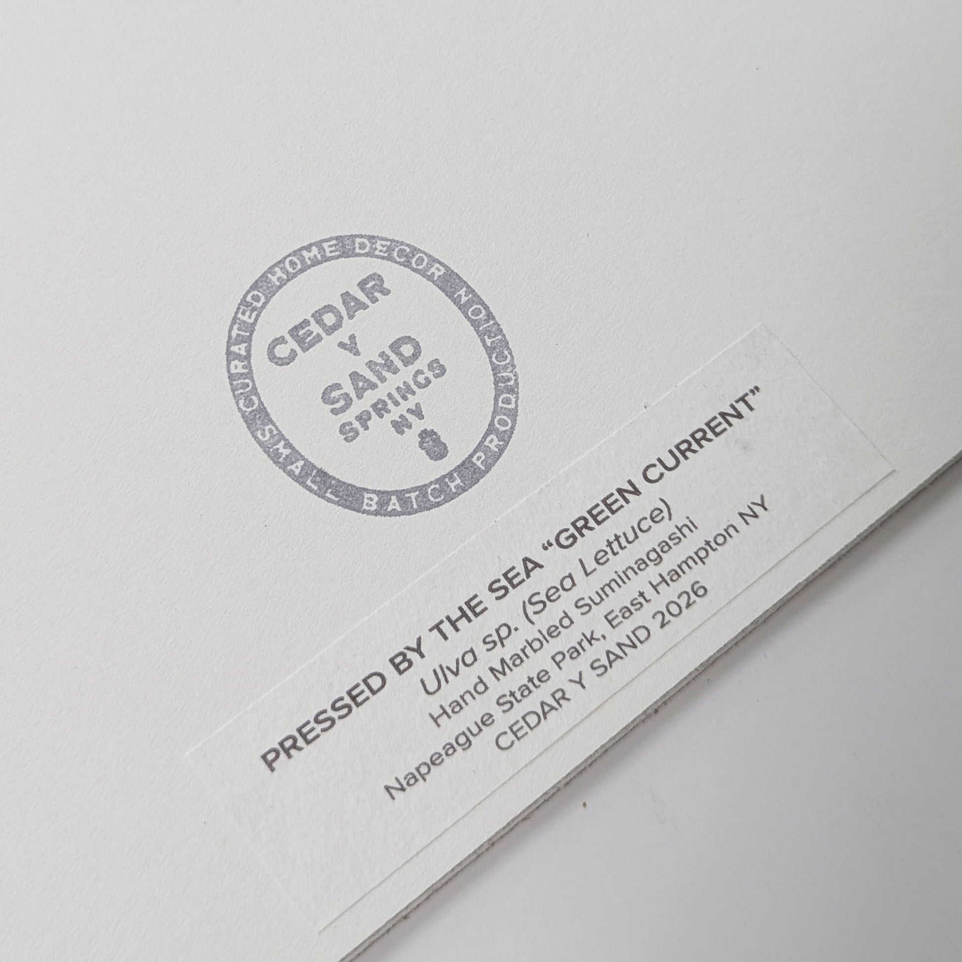 Reverse label identifying Green Current, a Pressed by the Sea artwork featuring Ulva sea lettuce collected at Napeague State Park in East Hampton, NY.
