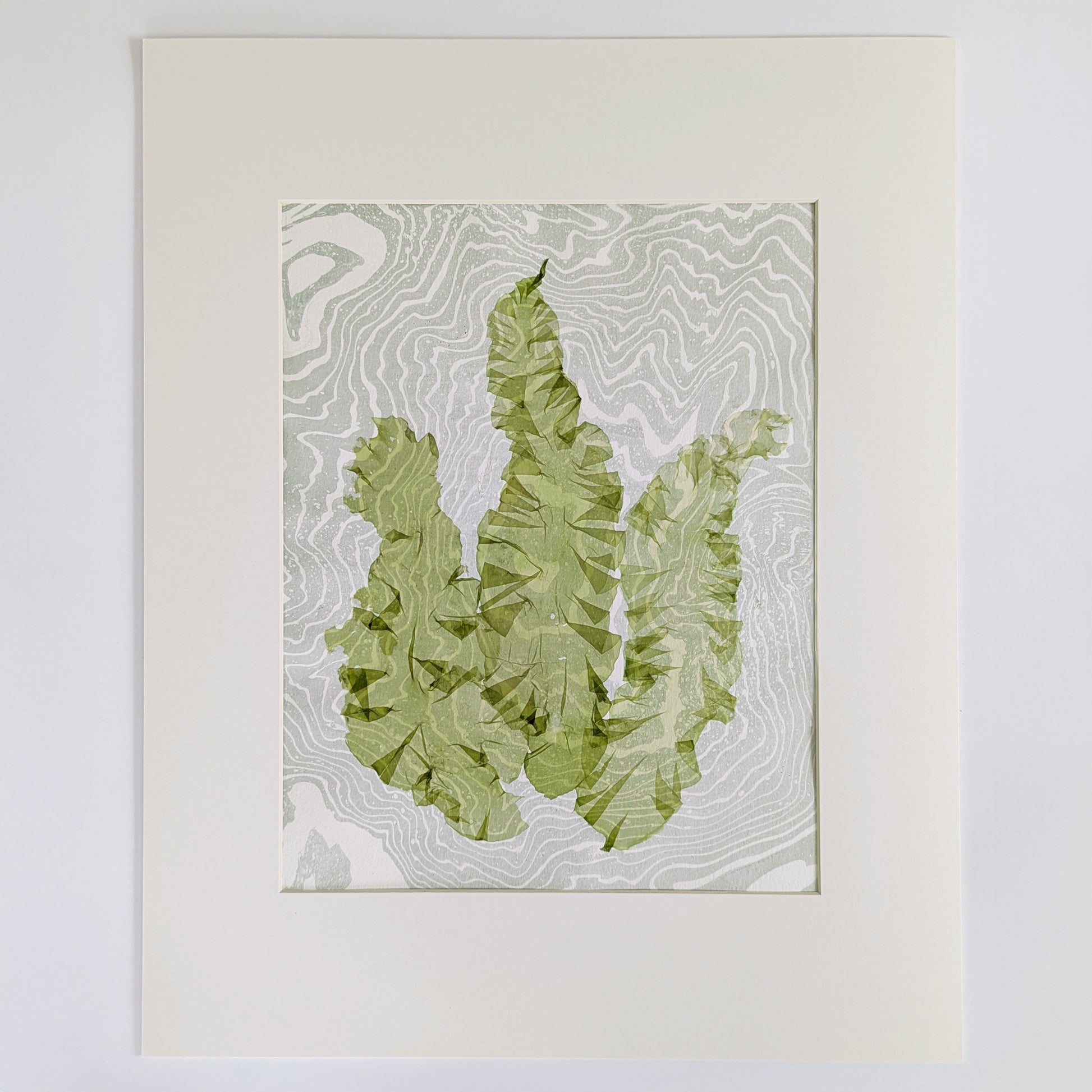 Pressed sea lettuce seaweed artwork (Ulva lactuca) on green-toned suminagashi marbled paper, matted and ready to frame