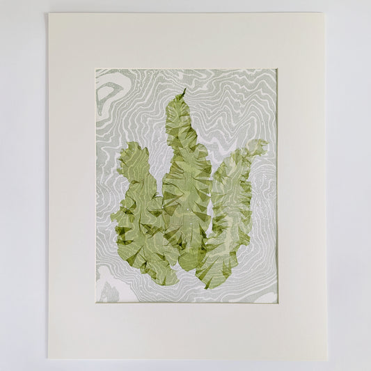 Pressed sea lettuce seaweed artwork (Ulva lactuca) on green-toned suminagashi marbled paper, matted and ready to frame