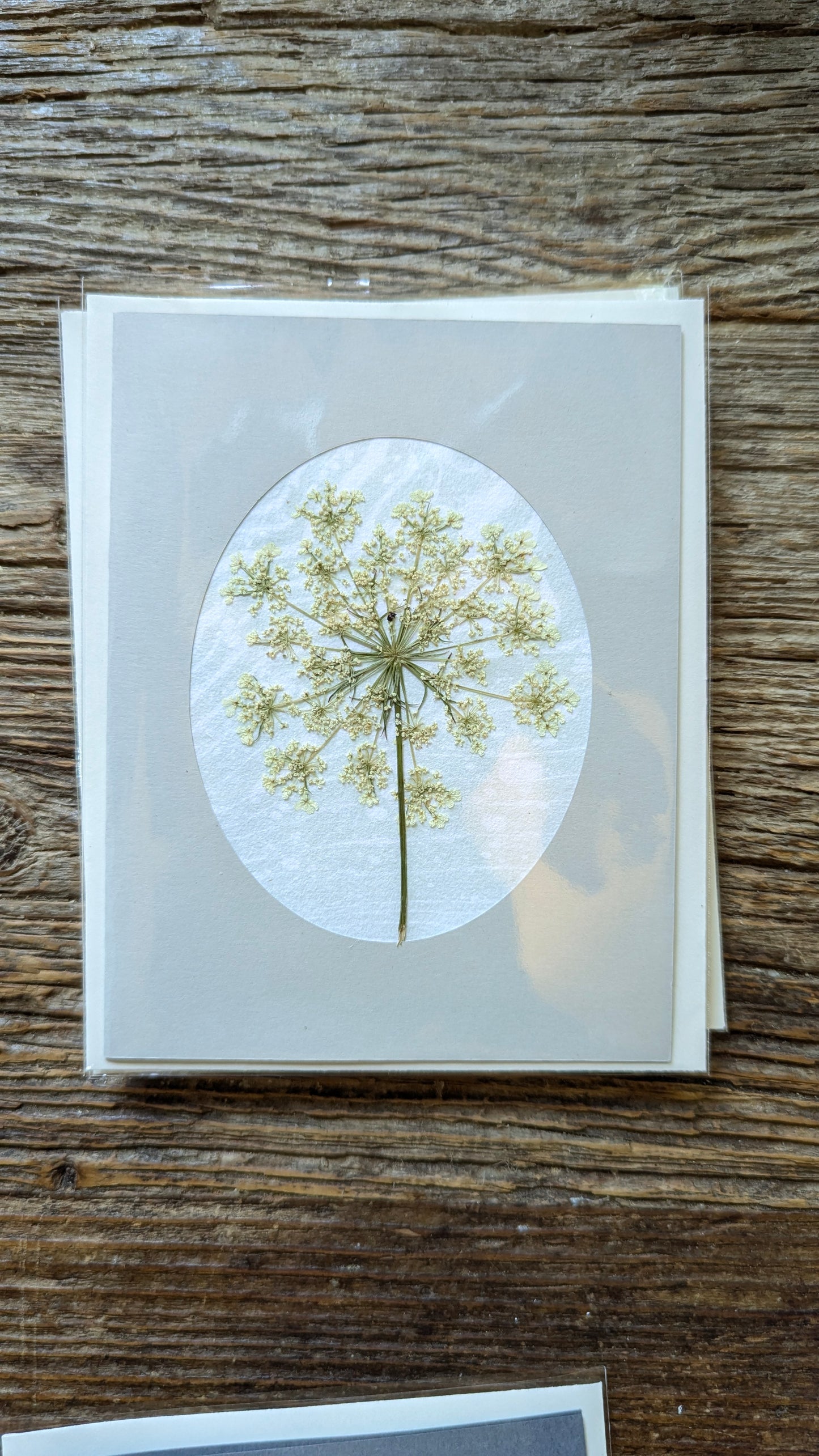 Suminagashi Pressed Flora Notecard: Meadow NEW