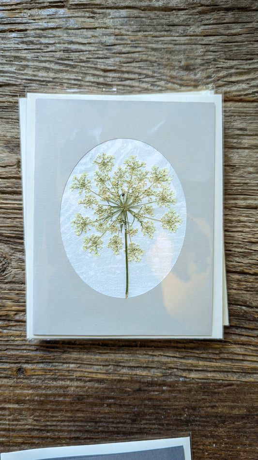 Suminagashi Pressed Flora Notecard: Meadow NEW