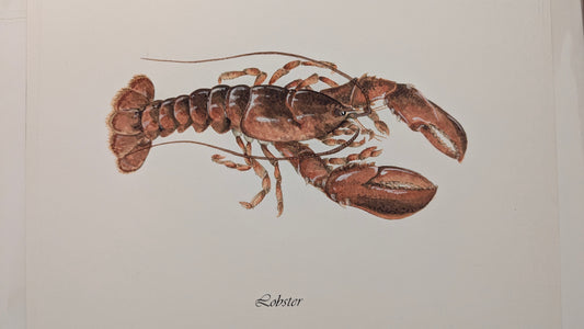 Cooked Lobstah Watercolor Painting