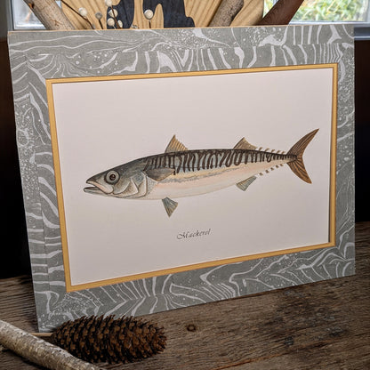 Double-matted Mackerel watercolor displayed on a rustic wood surface with gray suminagashi-marbled mat and coastal natural elements.