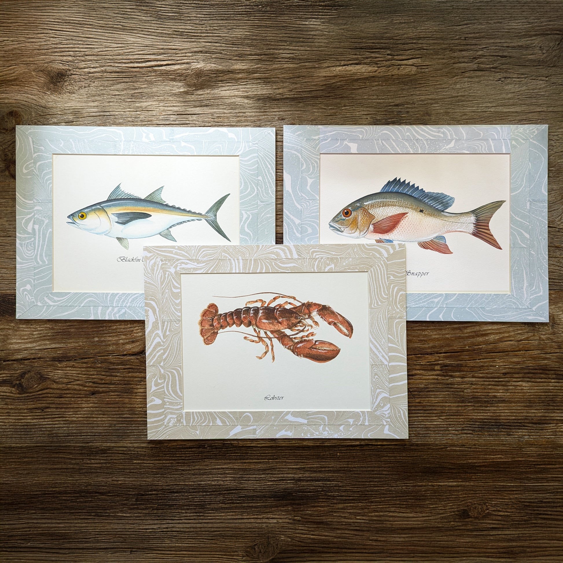Trio of framed marine portraits—Blackfin Tuna, Mutton Snapper, and Lobster—on rustic wood background.